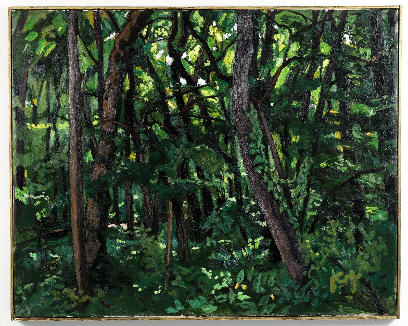 Stephen Hankin Frick Park Woods Oil Painting 2005 (1 of 4)