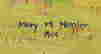item-129317882=3