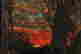 item-129317912=4