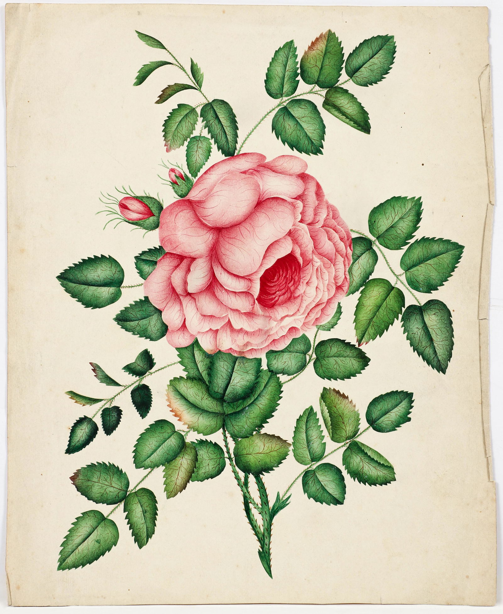 Ella Maria Cutter Broadwell 1838 Still Life watercolor (1 of 3)