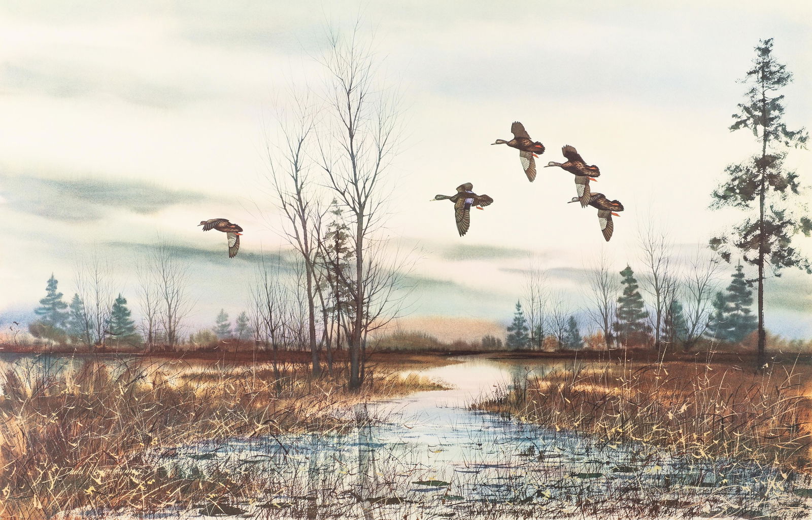 David Hagerbaumer Placid Marsh Waterfowl Signed Litho (1 of 5)