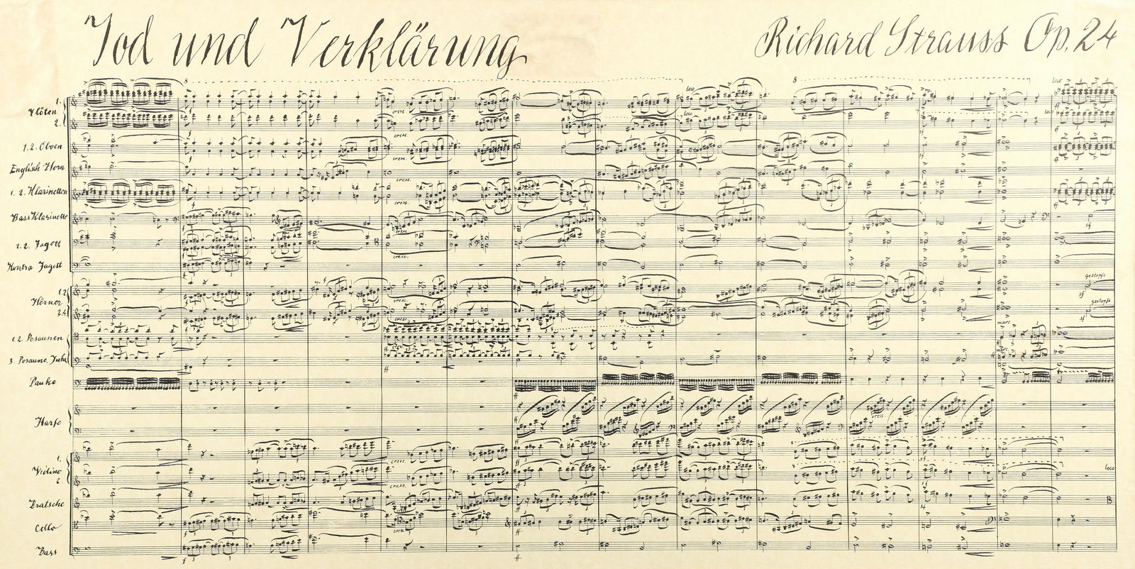 Richard Strauss Framed Score Page Tod und Verklarung Op. 24 (1 of 4)
