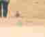 item-133370339=4