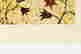item-133370491=3