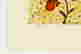 item-133370491=4