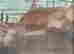 item-135899728=3