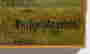 item-135899926=3