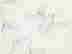 item-135900020=4