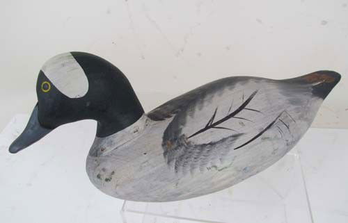 Carved and painted cedar Duck Decoy: Title: Duck Decoy Date: circa 1950 Medium: paint on carved cedar Dimensions: 7.5 x 15 x 7.5 Description: Widgeon, from the Susquehanna Flats area of the upper Chesapeake Bay. Dark green head, grey fea