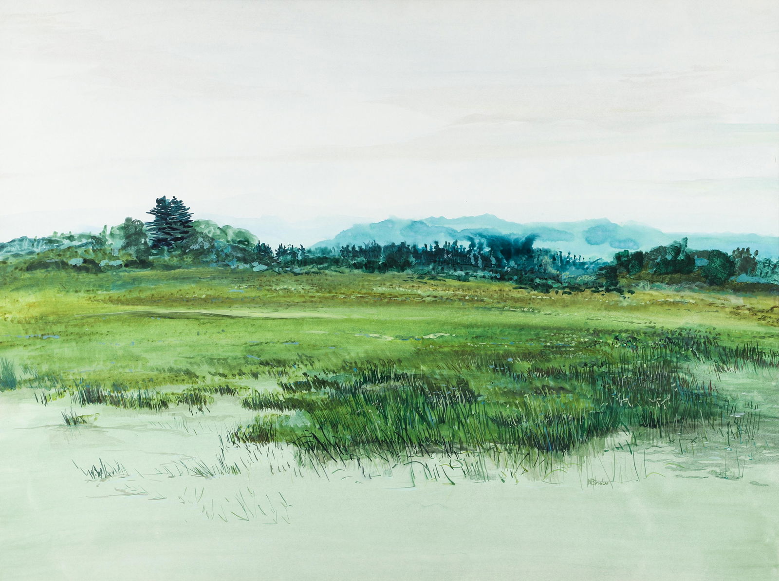 Michael Strueber watercolor Wetlands Landscape (1 of 4)