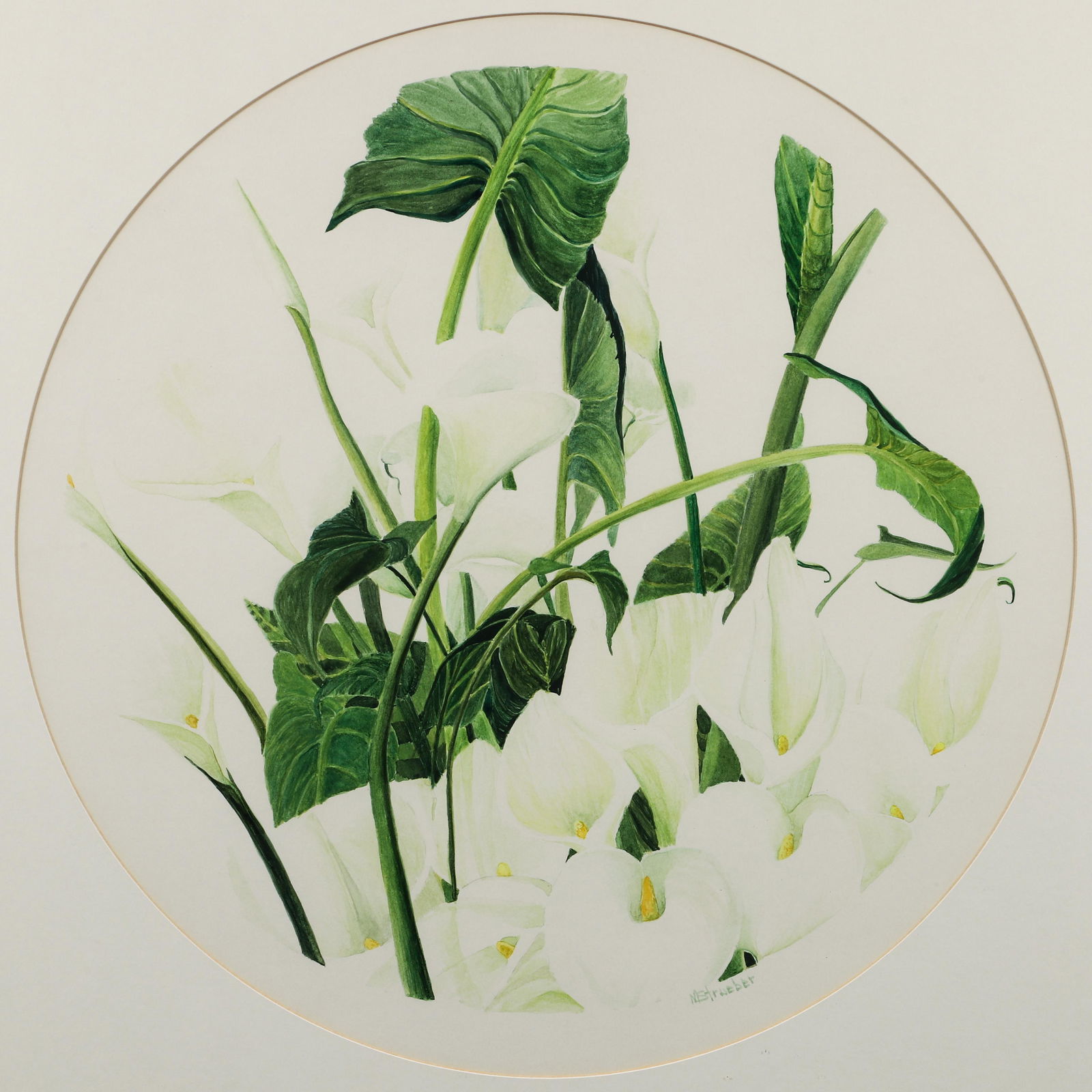 Michael Strueber 1993 watercolor Memorial Lilies (1 of 5)