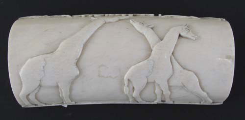 carved elephant tusk with giraffes relief: Title: Carved Elephant tusk segment with carving of a mother and calf giraffes and the word "Giraffes" in script Medium: ivory Dimensions: 3.5 x 8 x 1.25 inches