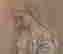 item-10669513=3