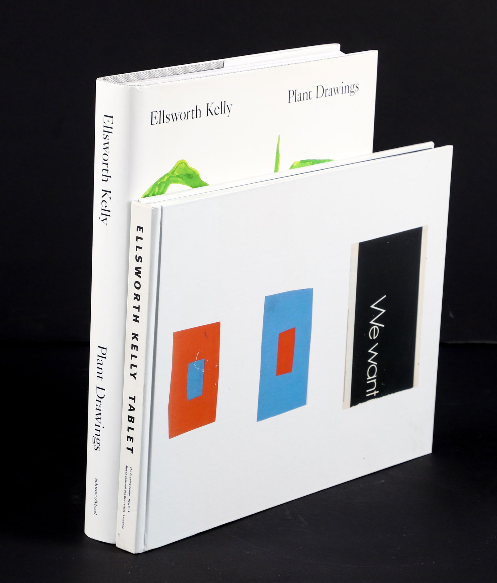 Pair of Rare Hardcover Ellsworth Kelly Catalogs (1 of 7)