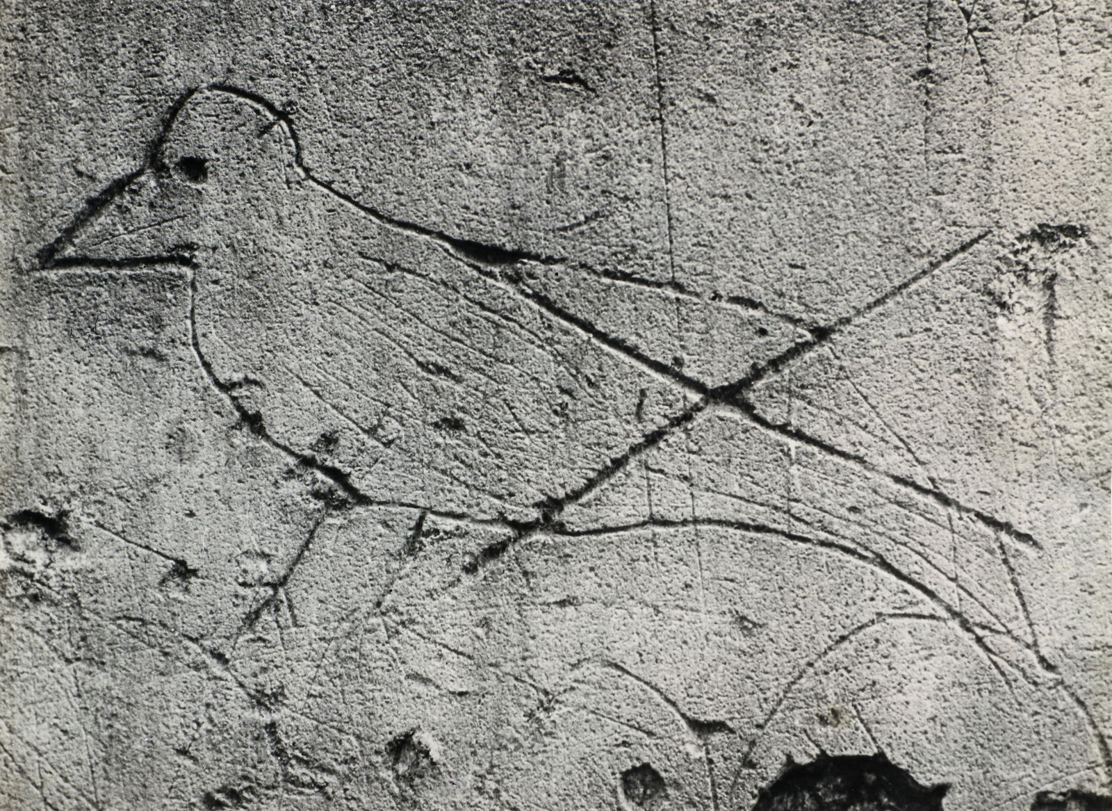 Brassai Graffiti Bird Vintage Photograph 1931: Brassai (Gyula Halasz) (French, 1899-1984), Bird [Oiseau] Graffiti, taken 1931, silver gelatin print, signed and also with numerous stamps on the verso including a pair of 81 Faubourg St-Jacques stamp