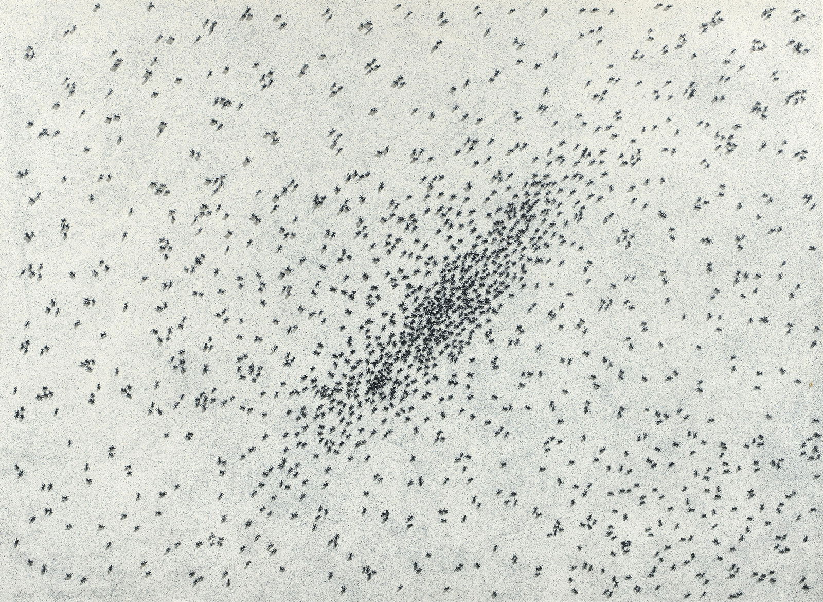 Edward Ruscha Insect Slant 1973 litho and screenprint (1 of 4)