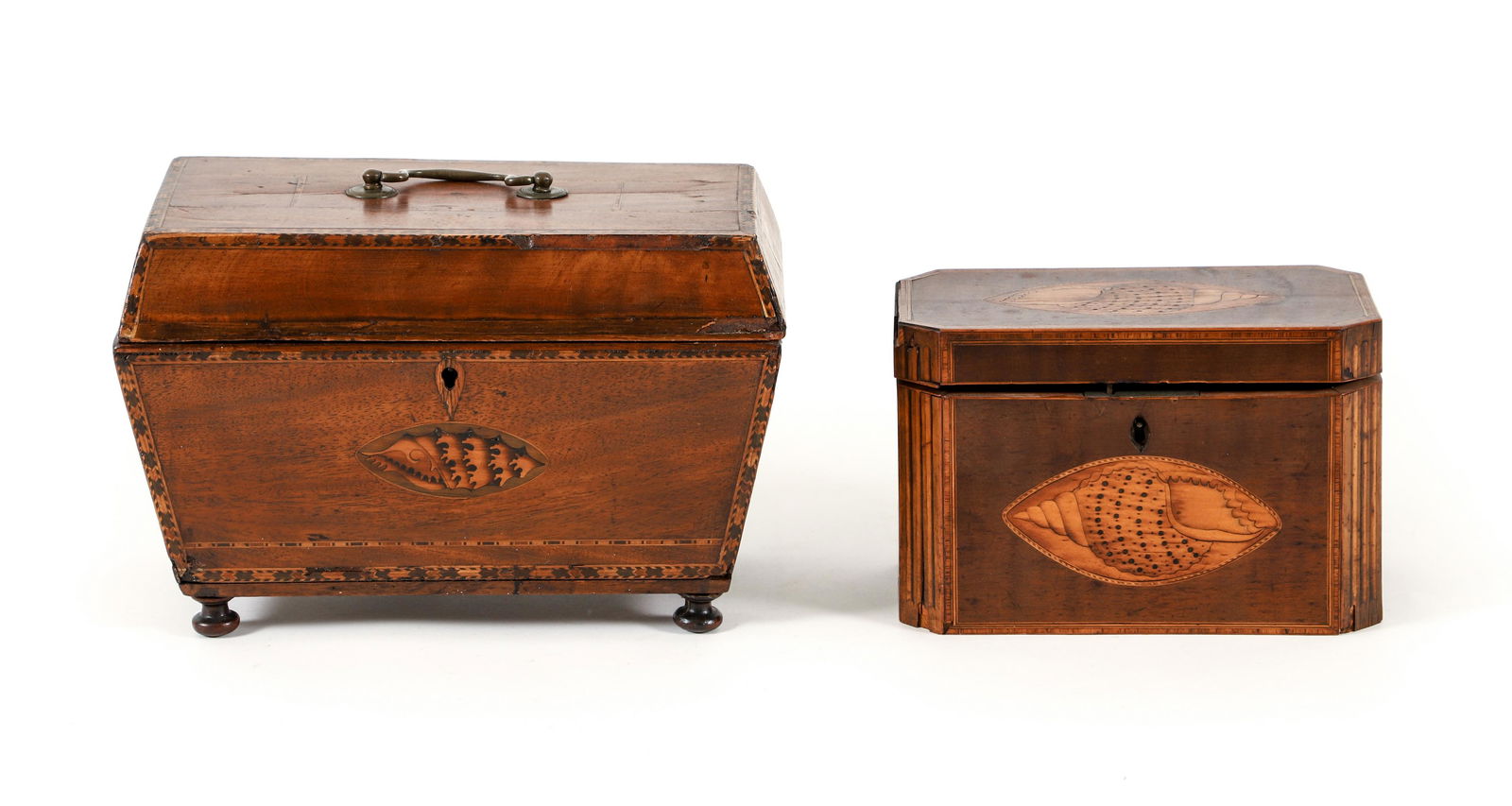 2 English Georgian Tea Caddies with Nautilus wood inlay (1 of 11)