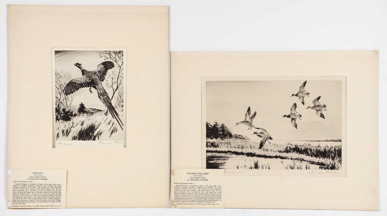 2 Churchill Ettinger AAA etchings Pitching Mallards and Pheasant (1 of 13)