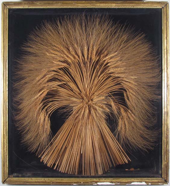 Antique Sheath of Wheat in a shadow box: Title: Antique Sheath of Wheat in a shadow box Date: 19th or very early 20th Century Medium: Wheat Stems arranged in a shadow box Dimensions: 23 x 21 x 4.5 inches