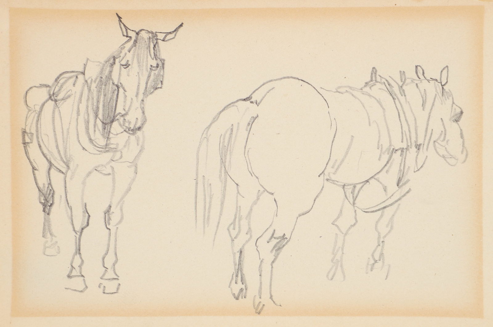 Scott Leighton Pencil Drawing Study of a Horse (1 of 5)