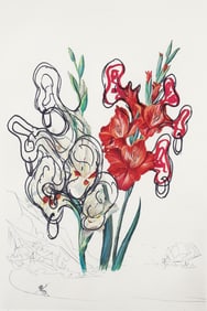 Salvador Dali etching Gladiolus Surrealist Flowers 1972