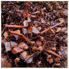 Arthur Tress 1985 cibachrome print Dejeuner Van Gogh