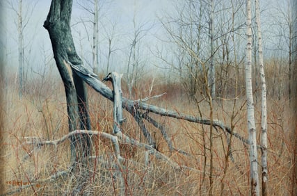 Charles Pitcher oil painting Laurel Wilderness