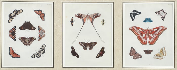 After Pieter Cramer 3 Sheets from De Uitlandsche Kapellen