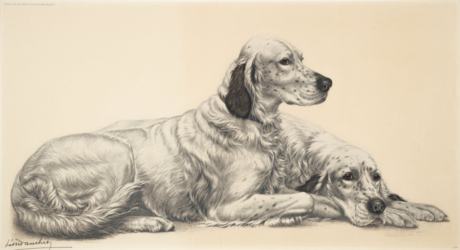 Leon Danchin Etching on Paper English Setters: Danchin, Leon (French/American, 1887-1938), Setters Resting, color etching on paper, signed in pencil at lower left, numbered , nicely matted and in a wooden frame inches. Image 18 x 33.5, nicely matt