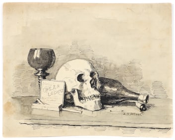 Lila Hetzel Still Life with Skull Pen and Ink drawing