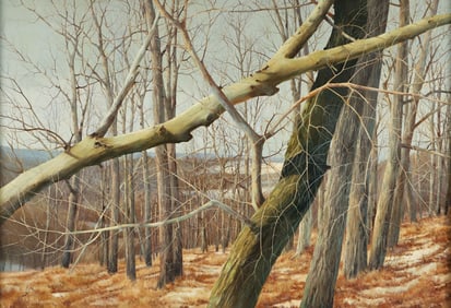 Charlie Pitcher Triangles #1 1975 oil on canvas