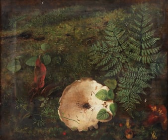 Elizabeth Williams oil on canvas Forest Floor Still Life
