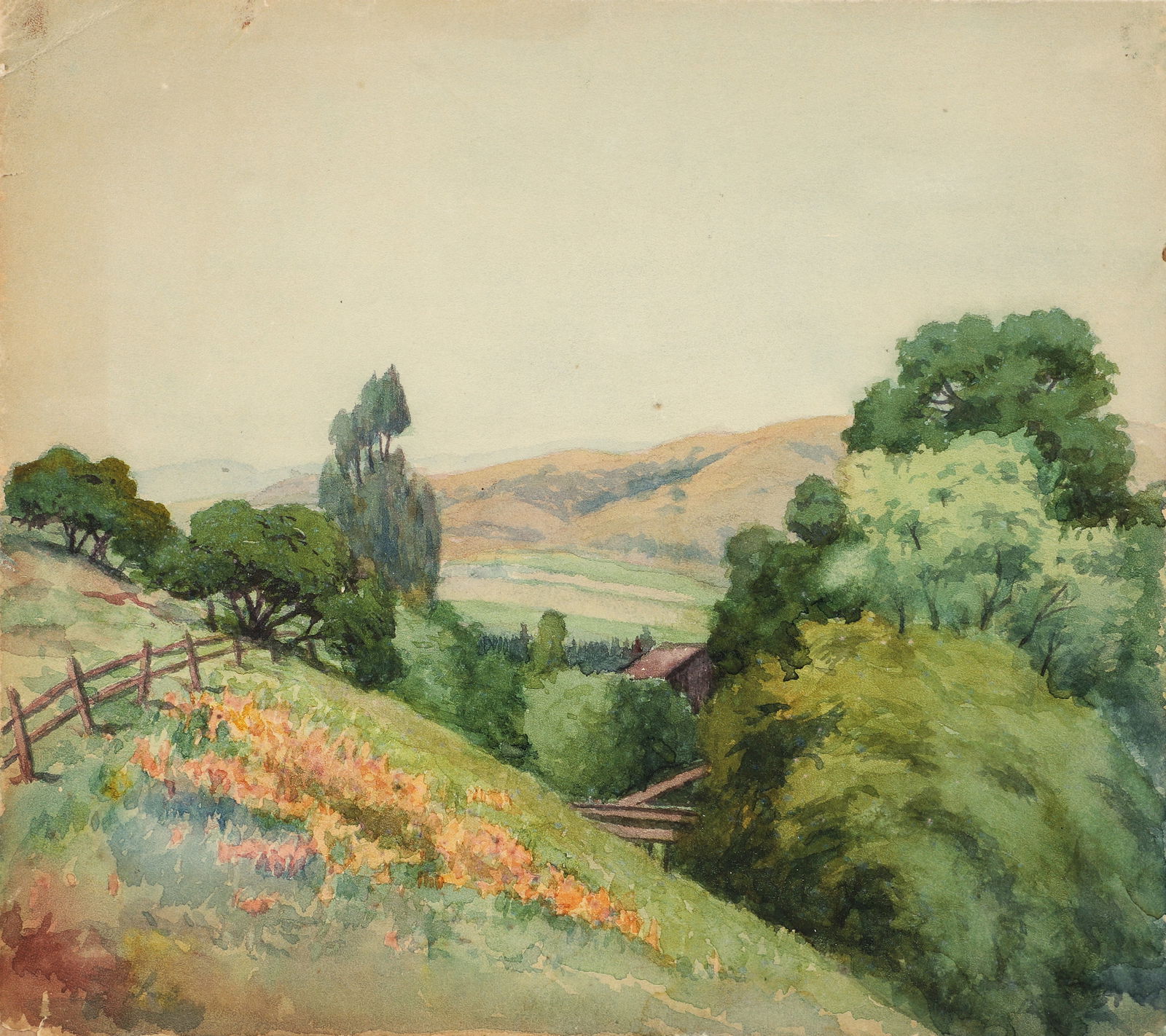 Alice Hunt Curtis circa 1915 watercolor California Wildflower Landscape (1 of 2)