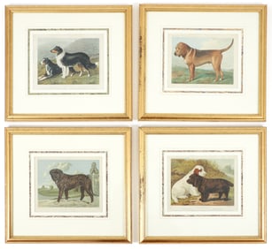 4 Framed Cassell Illustrated Dog Chromolithographs circa 1875