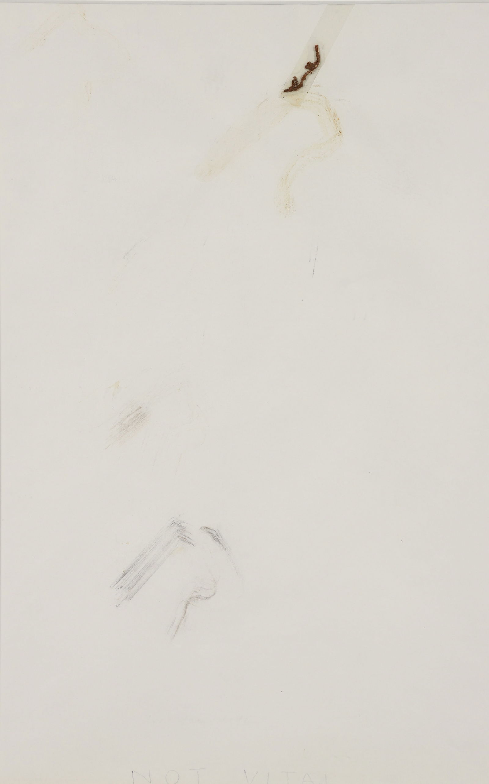 Not Vital Mixed Media Work on Paper: Vital, Not (Swiss, contemporary), Untitled, c.1980s, mixed media with tape and natural elements, signed in pencil to bottom edge, sight 16.5 x 10.5 inches, matted and framed 24 x 17.5 inches. Steve sa