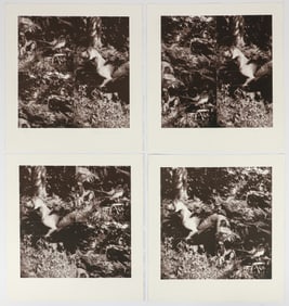 William Wegman Bird Dog Suite complete set of 4 Prints
