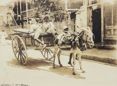 Katherine Elizabeth McClellan Whoaah Signed 1895