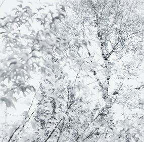 Ray Metzker Untitled Door Country Series Signed 1992