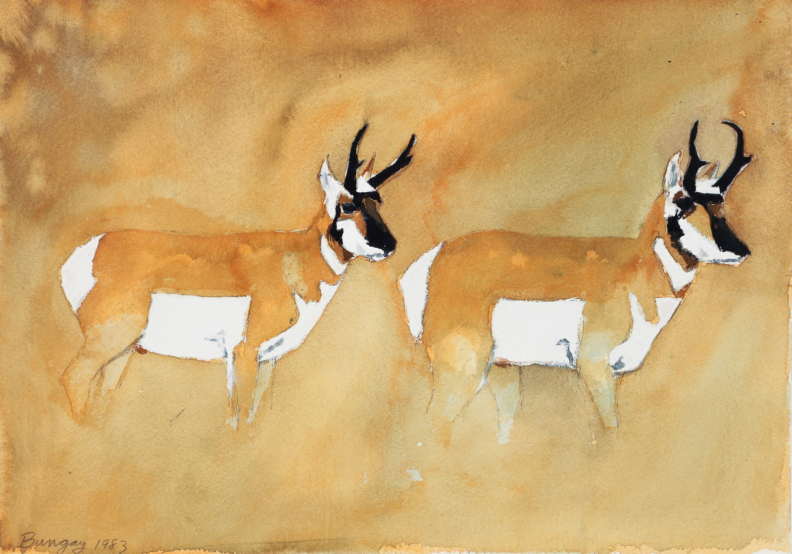 David Bungay Two Antelope Watercolor 1983 Signed (1 of 3)