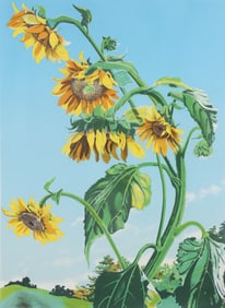 Sondra Freckelton framed lithograph Sunflowers, State 1