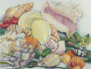 Marcia Frankel Harris 1980 drawing Conch Still Life