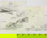 item-211302429=1