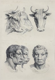 Charles Le Brun System on Physiognomy Engraving 1806