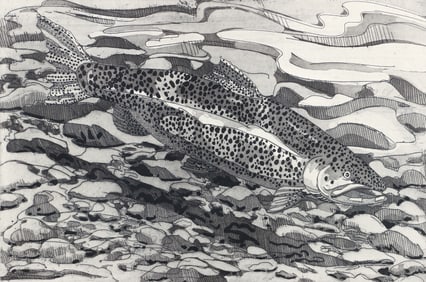 Neil Welliver 1978 etching and aquatint Brown Trout