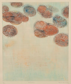 Shoichi Hasegawa 1970s color etching Zasso