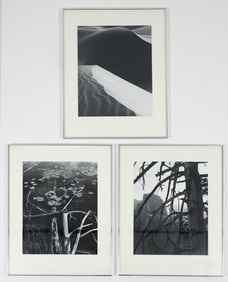 3 framed Michael Rubin Details of Landscape Photos