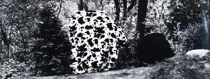 Martin Prekop photograph House 1993-2007 Series