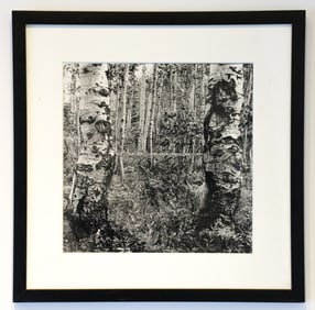 Martin Prekop 1970 photograph Landscape with Tape Measure