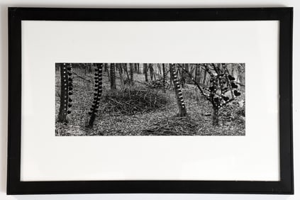 Martin Prekop photograph Mirrored Trees, Back Yard, House 1993-2007 Series