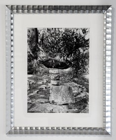Martin Prekop 2000 photograph Olive Tree and Rocks